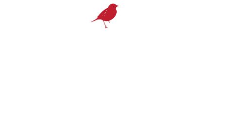 SAVA-Logo_White